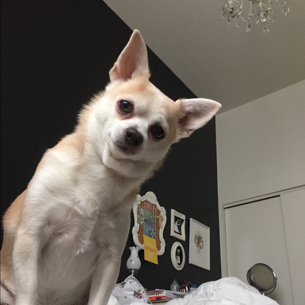 Meet your Posher, Billie